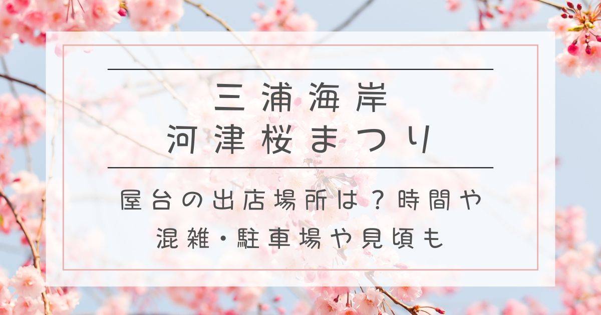 三浦海岸河津桜まつり2025屋台の出店場所は？時間や混雑･駐車場や見頃も