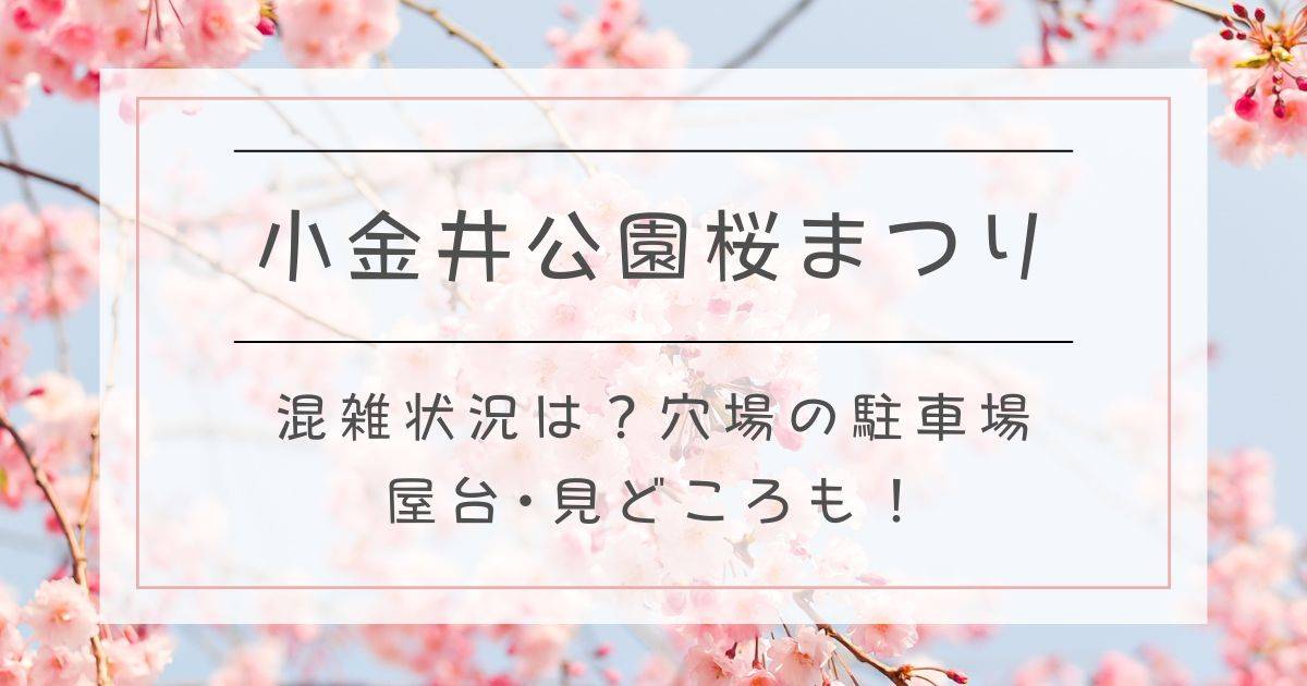 小金井公園桜まつり2025混雑状況は？穴場の駐車場や屋台･見どころも！